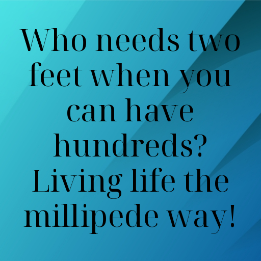 Millipede Captions Photo For Instagram In [2025]-Q5QaFh