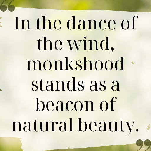 Monkshood Captions Image For Instagram In [2025]-5LGosJ