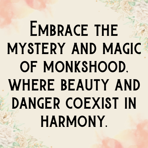 Monkshood Captions Image For Instagram In [2025]-uRzvNL