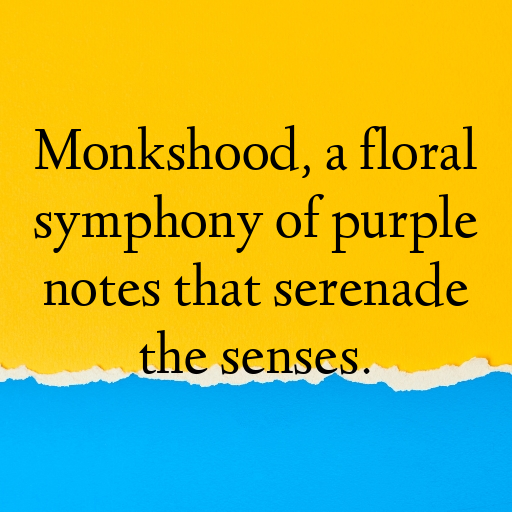 Monkshood Captions Photo For Instagram In [2025]-0g4vI2