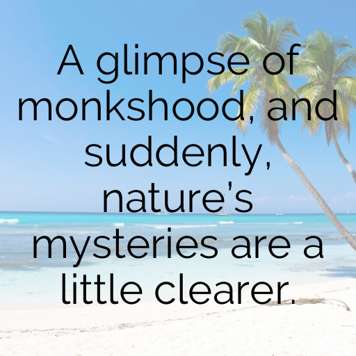 Monkshood Captions Photo For Instagram In [2025]-E9YlE4