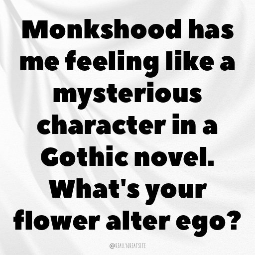 Monkshood Captions Photo For Instagram In [2025]-mko4yF