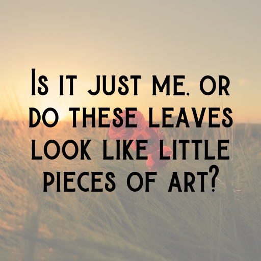 Monstera Deliciosa Captions Image For Instagram In (2025)-IJddhc