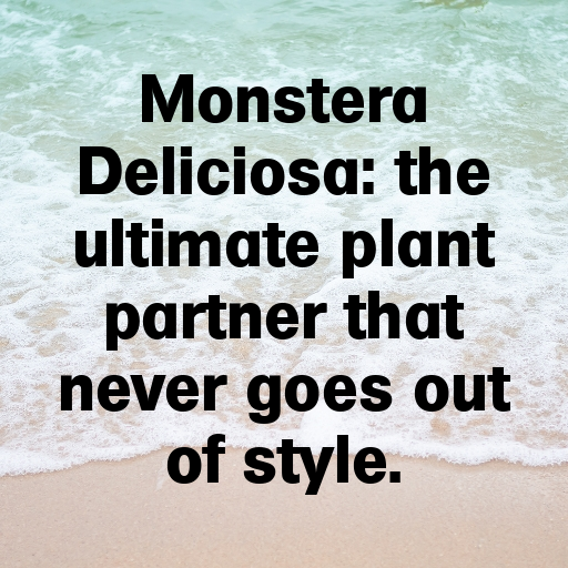Monstera Deliciosa Captions Photo For Instagram In (2025)-8Sbt7Q