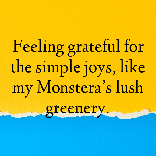 Monstera Deliciosa Captions Photo For Instagram In (2025)-ysYrmT