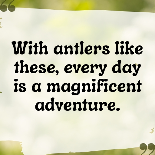 Moose Captions Image For Instagram In [2025]-CEX8Ce