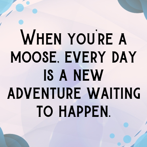 Moose Captions Image For Instagram In [2025]-iRSb3T