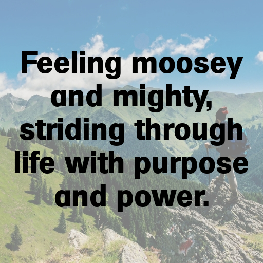 Moose Captions Photo For Instagram In [2025]-W9gvCb