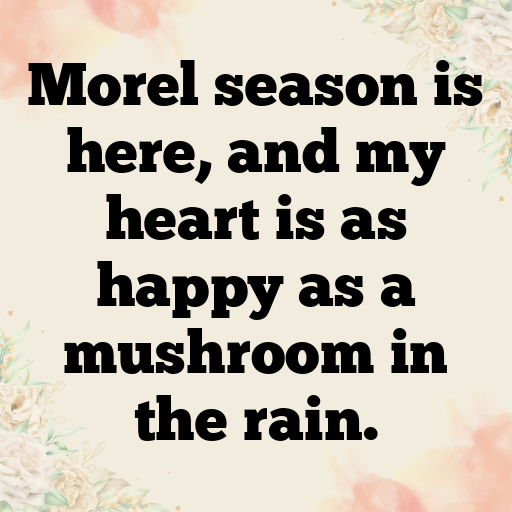 Morel Mushroom Captions Image For Instagram In 2025-d60KOY