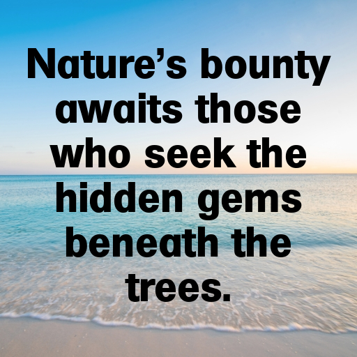 Morel Mushroom Captions Image For Instagram In 2025-uI7smu