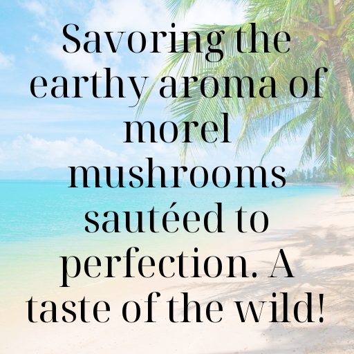 Morel Mushroom Captions Image For Instagram In 2025-v701jI