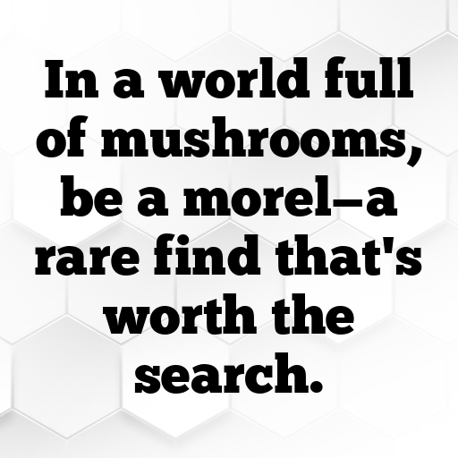 Morel Mushroom Captions Photo For Instagram In 2025-AY91YE