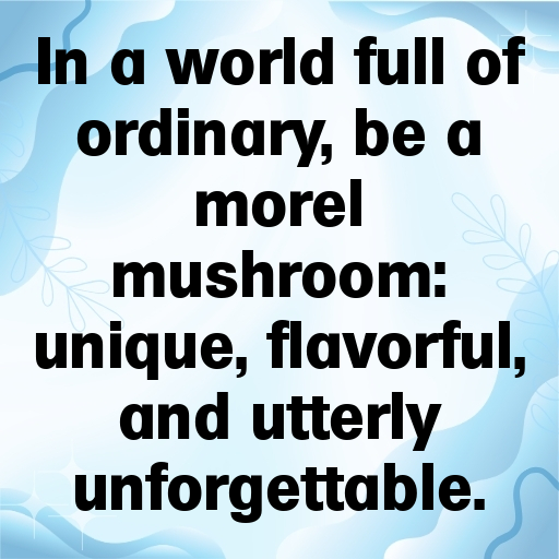 Morel Mushroom Captions Photo For Instagram In 2025-gczY83