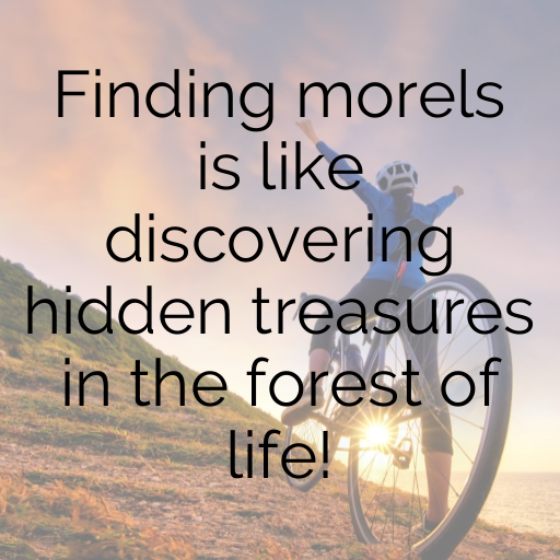 Morel Mushroom Captions Photo For Instagram In 2025-zuZ7Ht