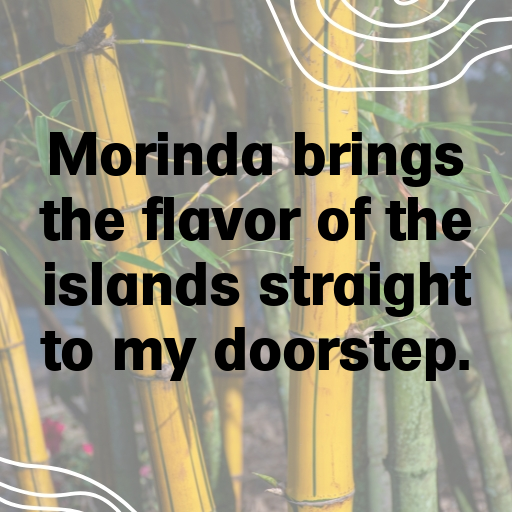 Morinda Captions Photo For Instagram In [2025]-4lYthX