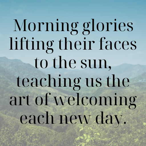 Morning Glory Captions Photo For Instagram In (2025)-dFrVz4