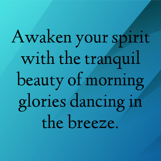 Morning Glory Captions Photo For Instagram In (2025)-M5biW2