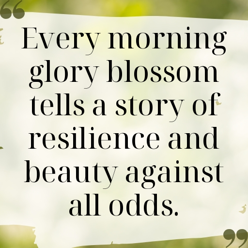 Morning Glory Captions Photo For Instagram In (2025)-Vy27OU