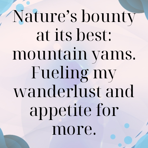 Mountain Yam Captions Photo For Instagram In (2025)-EE6zyh