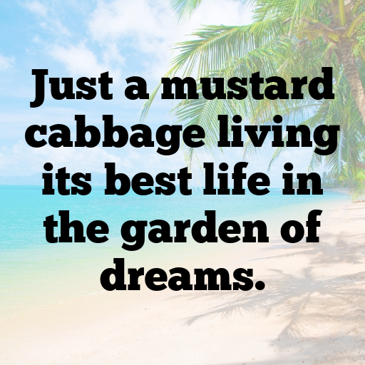 Mustard Cabbage Captions Photo For Instagram In [2025]-CqcSEe