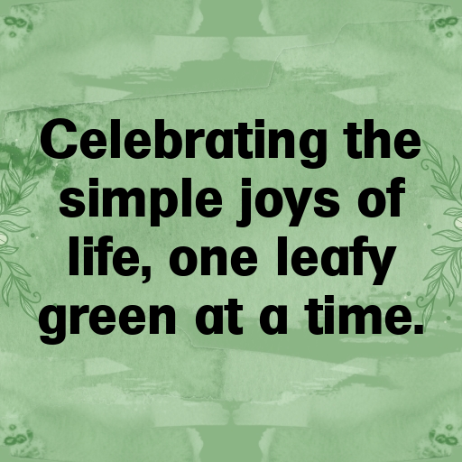 Mustard Greens Captions Image For Instagram In 2025-6BJtlk