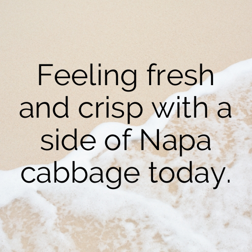 Napa Cabbage Captions Photo For Instagram In [2025]-8x4HdG