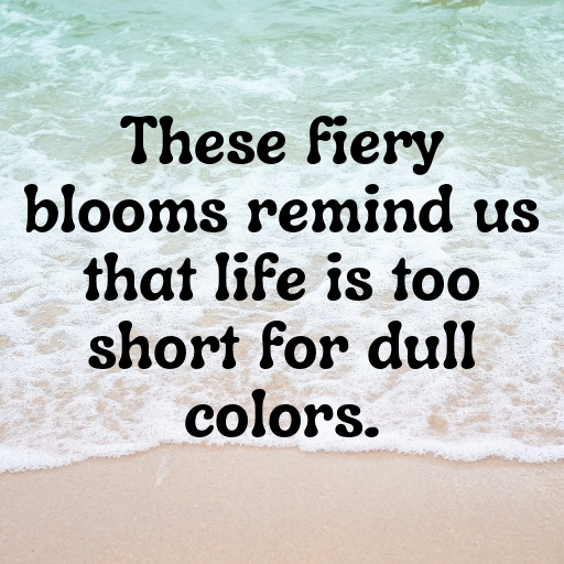 Nasturtium Captions Image For Instagram In [2025]-G6zkPH