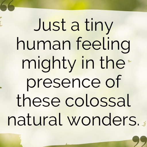 Natural Wonder Captions Photo for Instagram In 2025-M52ZKU