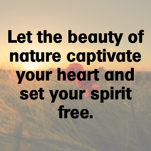 Natural Wonder Captions Photo for Instagram In 2025-tIiVzH