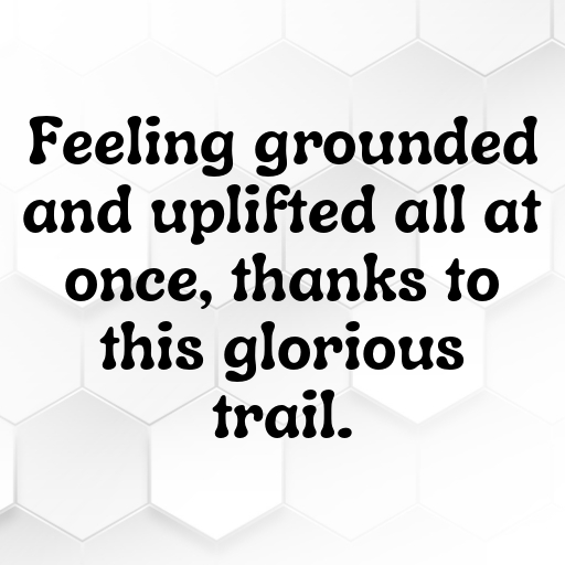 152+ Nature Trail Captions for Instagram In 2025 9 Nature Trail Captions Image for Instagram In 2025-CSPFC2