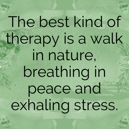 152+ Nature Trail Captions for Instagram In 2025 3 Nature Trail Captions Image for Instagram In 2025-MSXAwL