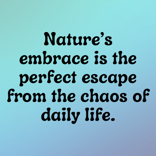 152+ Nature Trail Captions for Instagram In 2025 5 Nature Trail Captions Image for Instagram In 2025-wbZatz