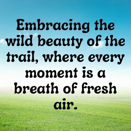 152+ Nature Trail Captions for Instagram In 2025 10 Nature Trail Captions Photo for Instagram In 2025-qP6lI5