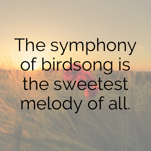 Nature's Bounty Captions Image for Instagram In [2025]-DYiIEm