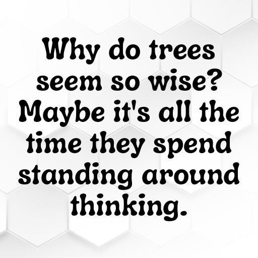 Nature's Bounty Captions Photo for Instagram In [2025]-XfVZzt