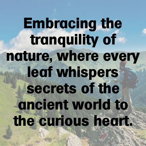 Nature's Marvel Captions Image for Instagram In (2025)-z1LEfb