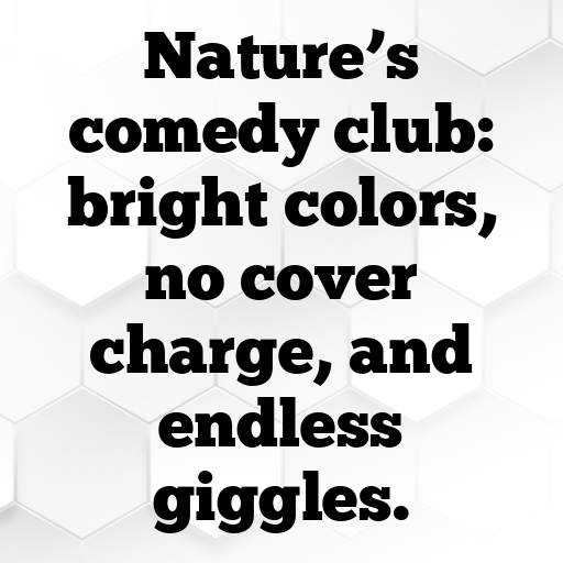 Nature's Palette Captions Photo for Instagram In [2025]-s1G5rv