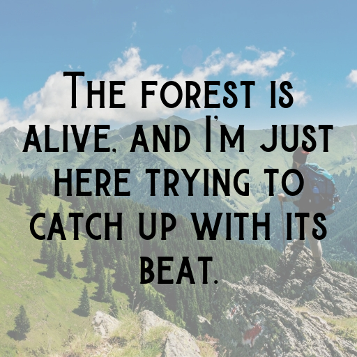 Nature's Rhythm Captions Image for Instagram In (2025)-BZOAzI