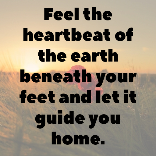 Nature's Rhythm Captions Image for Instagram In (2025)-o8ls6l