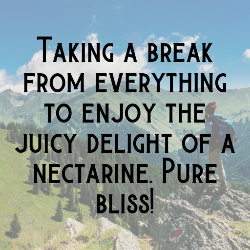 196+ Nectarine Captions For Instagram In 2025 7 Nectarine Captions Image For Instagram In 2025-7NTuXN