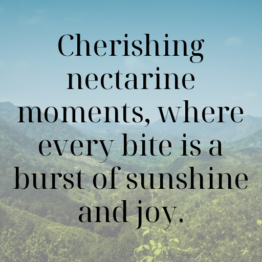 196+ Nectarine Captions For Instagram In 2025 5 Nectarine Captions Image For Instagram In 2025-caYfOV