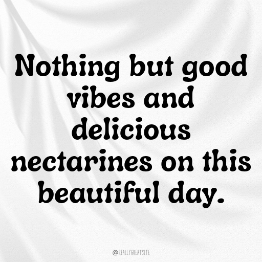 196+ Nectarine Captions For Instagram In 2025 3 Nectarine Captions Image For Instagram In 2025-qAhop9