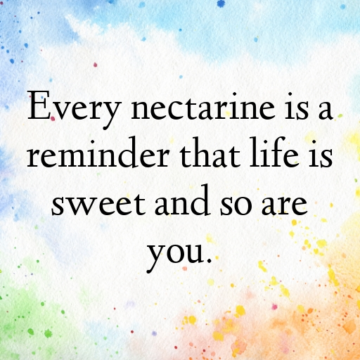 196+ Nectarine Captions For Instagram In 2025 9 Nectarine Captions Photo For Instagram In 2025-eNJoy0