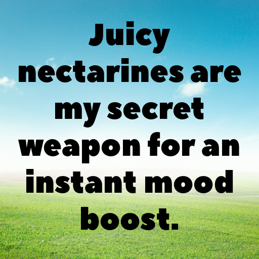 196+ Nectarine Captions For Instagram In 2025 8 Nectarine Captions Photo For Instagram In 2025-hCh1f1