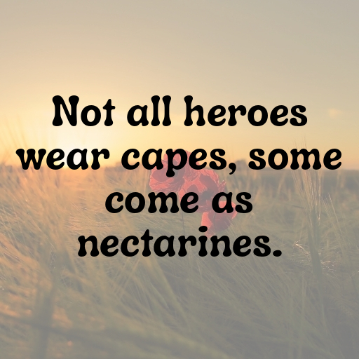 196+ Nectarine Captions For Instagram In 2025 6 Nectarine Captions Photo For Instagram In 2025-SUzHkl