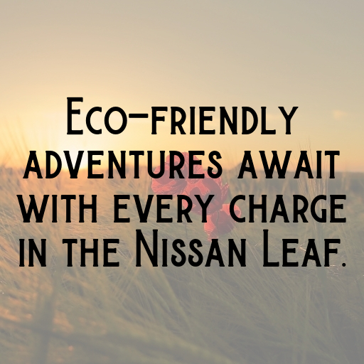 Nissan Leaf Captions Photo for Instagram In [2025]-Ct2gWe