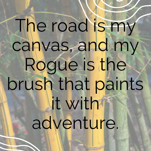 Nissan Rogue Captions Photo for Instagram In (2025)-PMvAdB