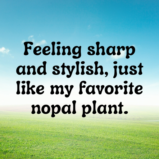 Nopal Captions Image For Instagram In (2025)-yTXEws