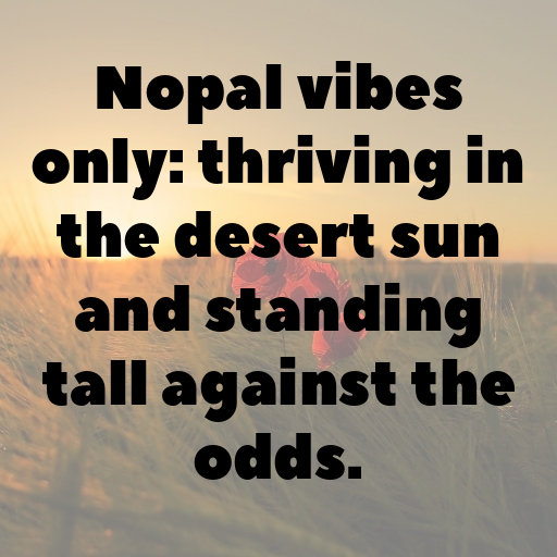 Nopal Captions Photo For Instagram In (2025)-zI9Vf5