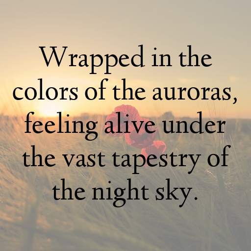 Northern Lights Captions Photo for Instagram In 2025-qcVxbz